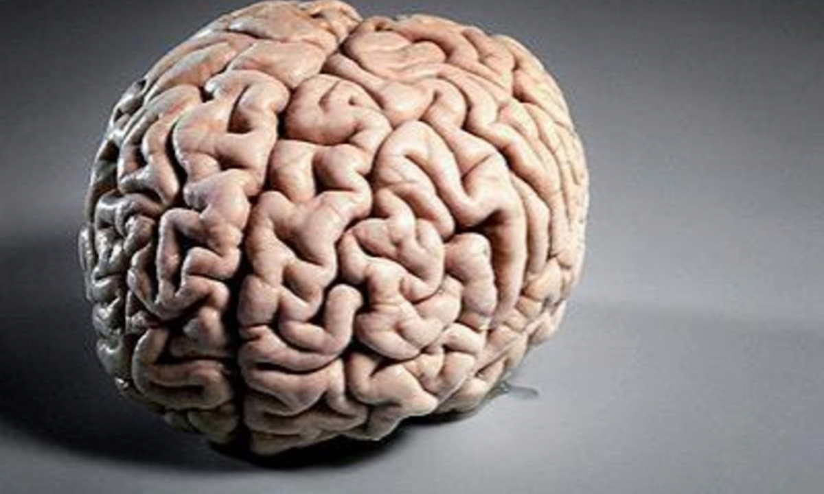 На скільки відсотків людина задіює в роботі свої мізки? "